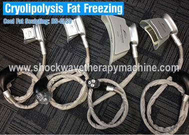 Cryo που παγώνει τη μηχανή αδυνατίσματος σώματος Cryolipolysis, εξοπλισμός μείωσης βάρους