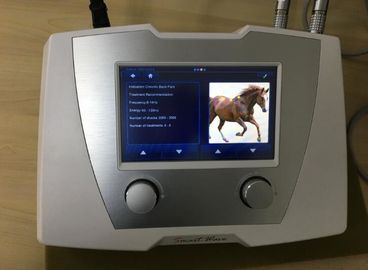 Ίππεια μηχανή θεραπείας κρουστικών κυμάτων Extracorporeal υψηλής έντασης για το άλογο