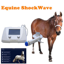 Ίππεια Shockwave ESWT μηχανή 1HZ - Shockwave 22HZ μηχανή για την κλινική κτηνιάτρων