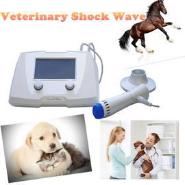 Κτηνιατρική ίππεια Shockwave μηχανή για το μαλακούς ζήτημα ζώων/τον τραυματισμό τενόντων