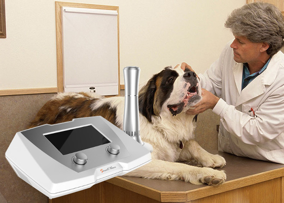 Κτηνιατρικά καθυστερημένα χρήση θεραπεύοντας σπασίματα που μεταχειρίζονται την ίππεια/κυνοειδή Shockwave μηχανή θεραπείας