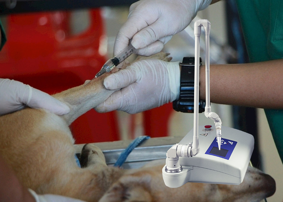 Ιατρική οργάνων κτηνιατρική μηχανή λέιζερ του CO2 κλασματική για τα σκυλιά/το ζωικό νοσοκομείο