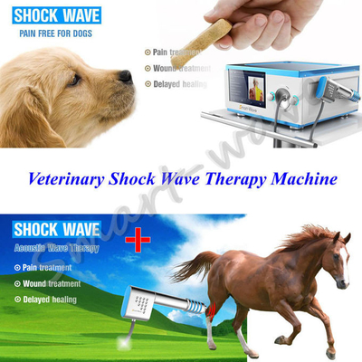 Shockwave αλόγων συσκευών αποστολής σημάτων μηχανή θεραπείας για τον πόνο στην πλάτη αλόγων