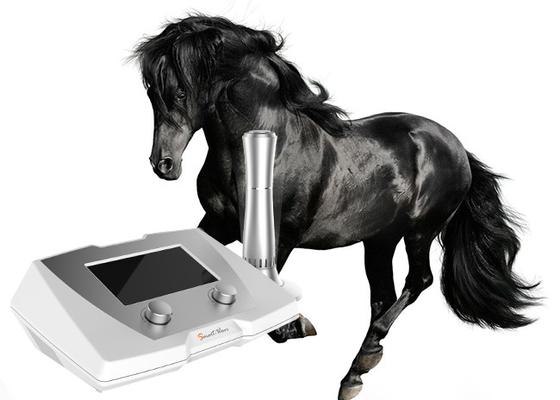 Υψηλής ενέργειας κτηνιατρική μηχανή θεραπείας κλονισμού 190 MJ για το άλογο και τα μικρά κατοικίδια ζώα