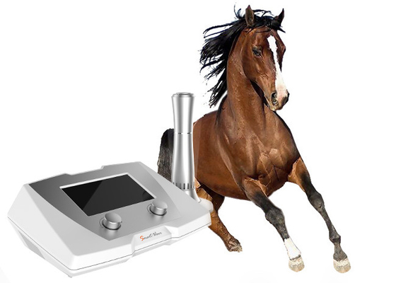 Υψηλής ενέργειας κτηνιατρική μηχανή θεραπείας κρουστικών κυμάτων για το άλογο κούρσας