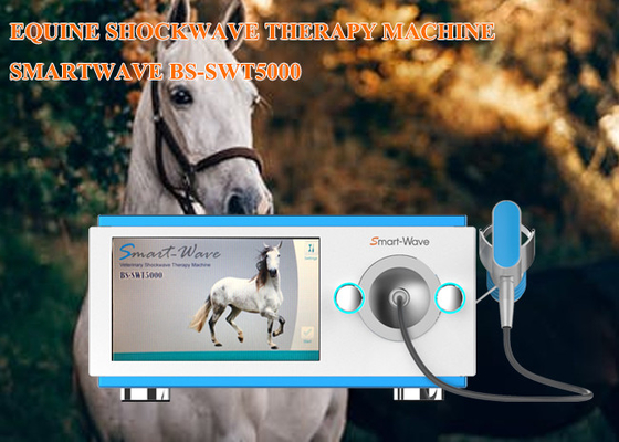 Επαγγελματικός shockwave φυσιοθεραπείας ακτινωτός θεραπείας εξοπλισμός κρουστικών κυμάτων μηχανών ίππειος