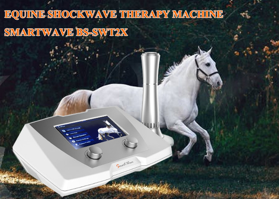 Έξυπνος Shockwave τραυματισμός τενόντων μηχανών θεραπείας ακουστικών κυμάτων εξοπλισμού θεραπείας