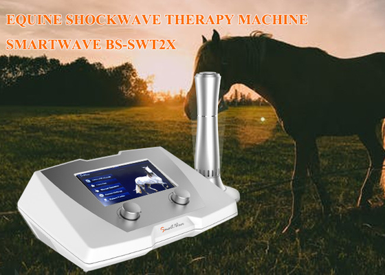 Shockwave αλόγων κλινικών μηχανή θεραπείας συχνότητα 1 - 22 Hz για την κρεμαστήρια ασθένεια συνδέσμων