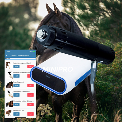 Τα άλογα αγώνων χαλαρώνουν 	Ίππεια Shockwave μηχανή για τους μαλακούς τραυματισμούς ιστού