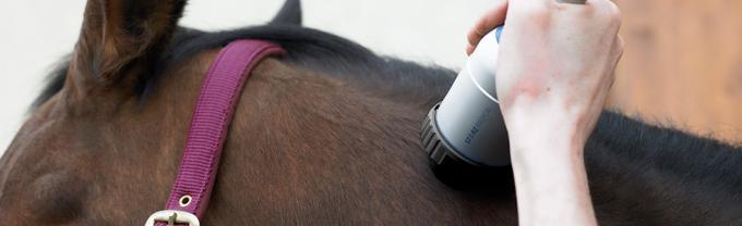 κτηνιατρική ιατρική shockwave εξοπλισμού θεραπείας κρουστικών κυμάτων ίππεια ίππεια μηχανή θεραπείας κρουστικών κυμάτων