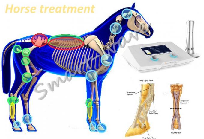 Υψηλής ενέργειας κρουστικών κυμάτων θεραπείας μηχανή θεραπείας κρουστικών κυμάτων μηχανών κτηνιατρική για το άλογο κούρσας