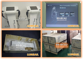 Βιο - ηλεκτρονική ακριβής συσκευή ανάλυσης λίπους σώματος Impedancemetry με την ψηφιακή επίδειξη