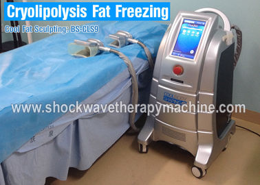 4 μηχανή αδυνατίσματος εξοπλισμού απώλειας βάρους Cryolipolysis λαβών για τη γρήγορη παχιά μείωση