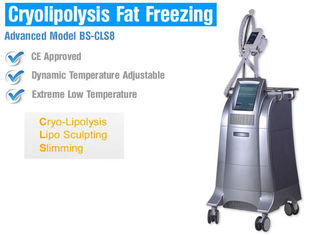 Αδυνάτισμα σώματος/διαμόρφωση της παχιάς μηχανής παγώματος Cryolipolysis με τον ευφυή έλεγχο θερμοκρασίας