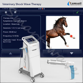 Κτηνιατρική Shockwave Extracorporeal ίππεια φυσιοθεραπεία μηχανών για τα μικρά κατοικίδια ζώα