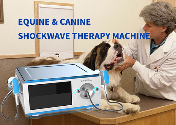Μικρή ζωική φυσική ακτινωτή ίππεια Shockwave μηχανή για τη θεραπεία αλόγων