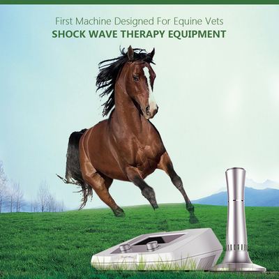1 - 22 κτηνιατρικό ιατρικό Shockwave BS-SWT2X εξοπλισμού θεραπείας Hz για τον τραυματισμό τενόντων