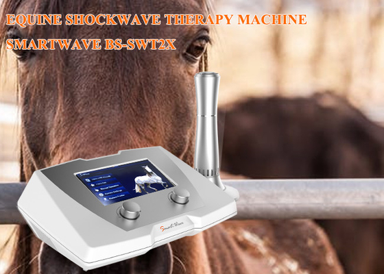Shockwave αλόγων κλινικών μηχανή θεραπείας συχνότητα 1 - 22 Hz για την κρεμαστήρια ασθένεια συνδέσμων
