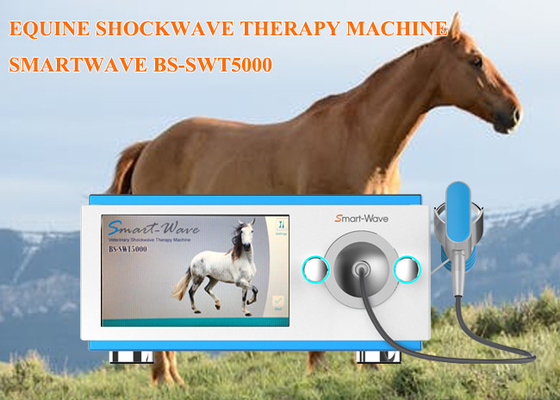 Shockwave αλόγων αγώνων φυσιοθεραπείας μηχανή θεραπείας