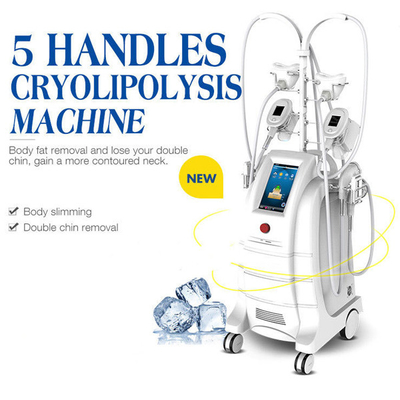 5 παχιά μηχανή Sculpting σώματος μηχανών παγώματος Cryolipolysis λαβών για την παχιά μείωση