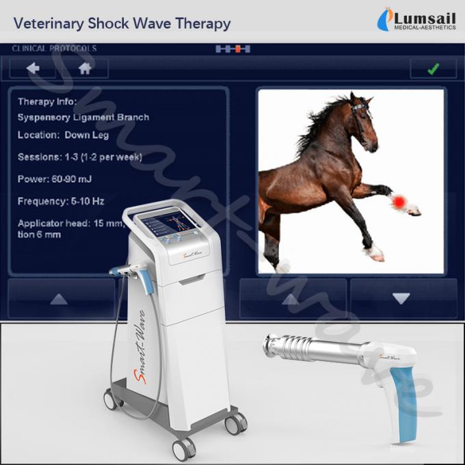 Τα κτηνιατρικά μικρά κατοικίδια ζώα φυσιοθεραπείας χρησιμοποιούν το extracorporeal shockwave άλογο μηχανών κρουστικών κυμάτων αλόγων θεραπείας