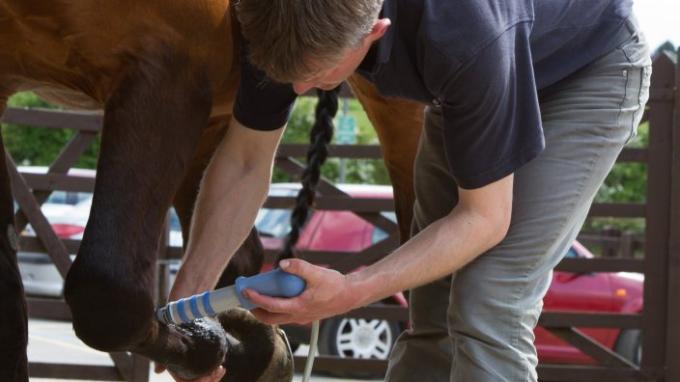 Υψηλής ενέργειας κρουστικών κυμάτων θεραπείας μηχανή θεραπείας κρουστικών κυμάτων μηχανών κτηνιατρική για το άλογο κούρσας