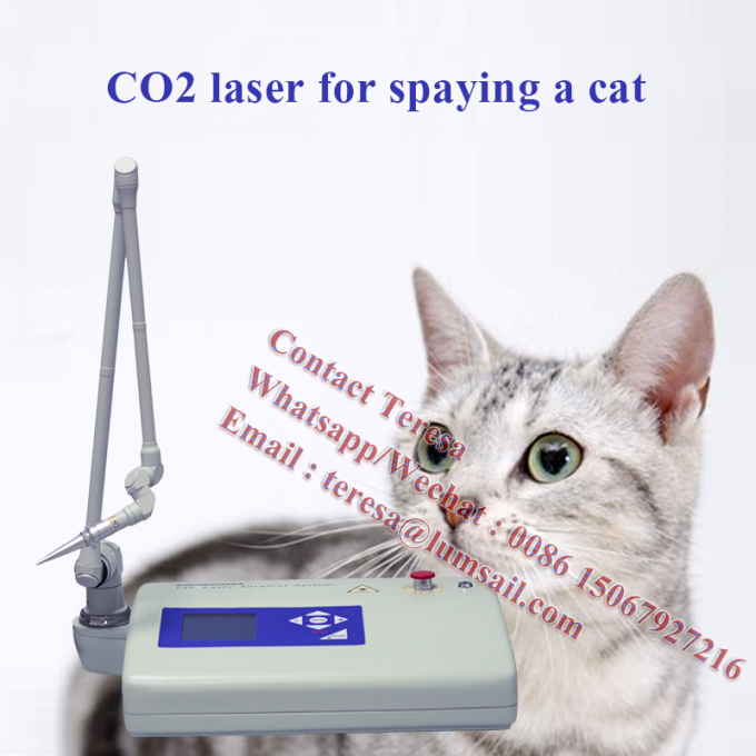 Φορητό λέιζερ του CO2 τεχνολογίας 15W χειρουργικό κτηνιατρικό